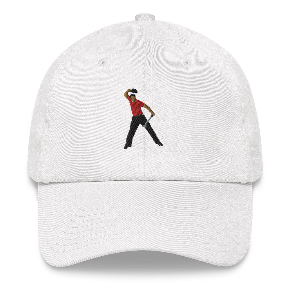 2008 Dad hat-0